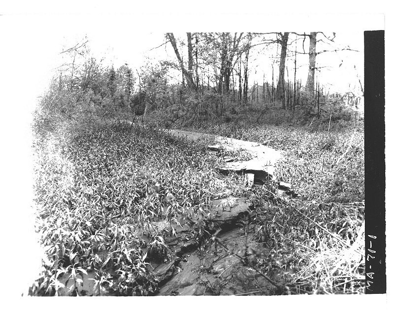 Topsoil from Cabbage Field washes out of the field.