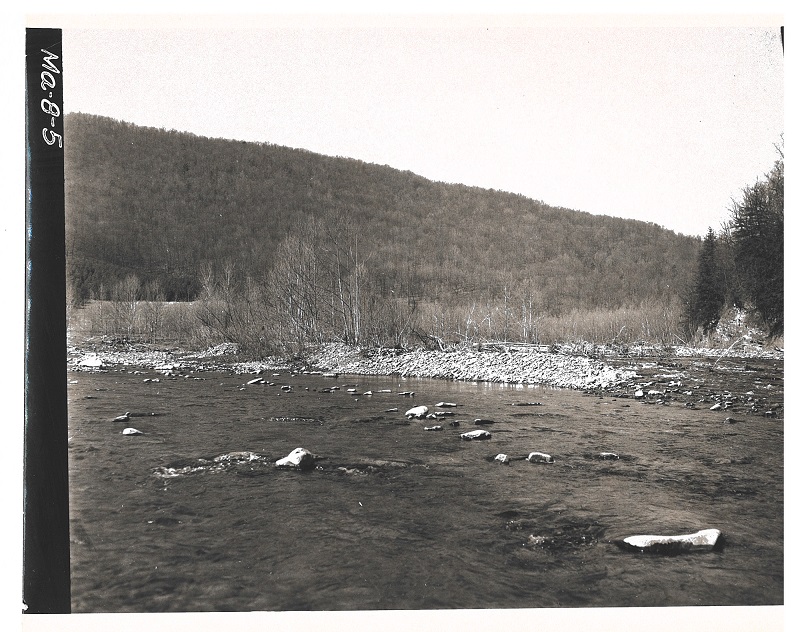 Entranced to Savage River Dam under three feet of rubble from October 15, 1954 storm. Garrett County, MD