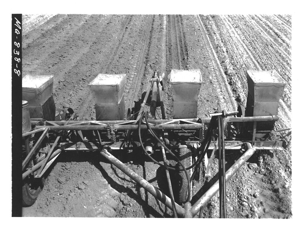 Wheel tract Lister Planter, view at work from the tractor.