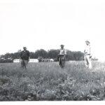 Three men looking at a field