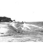 Sprinklers shooting water on hill leading to Dam #3 pond. There is a man in the foreground leaning against an old tractor.