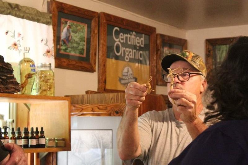 A man holds up ginseng to show onlookers.