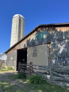 A rustic barn and silo with a sign on the barn that says "Leaning Pine Farm".