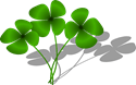 3 Clovers