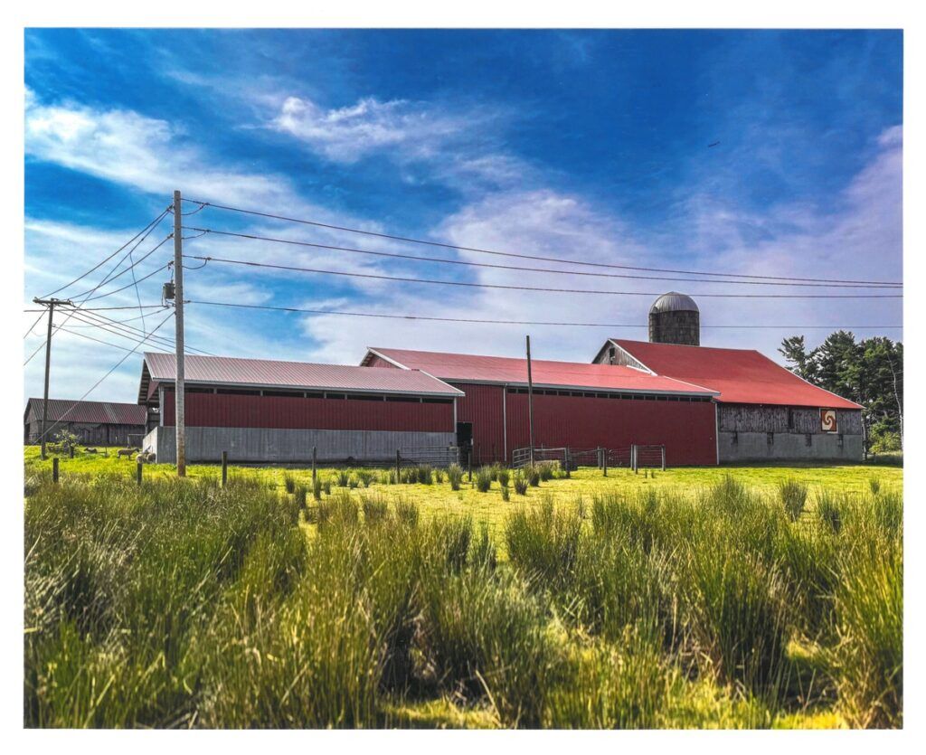 Red Barn with Red Heavy Use area attached behind a brushy area.