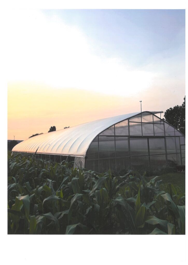 A high tunnel for growing crops against a sunset