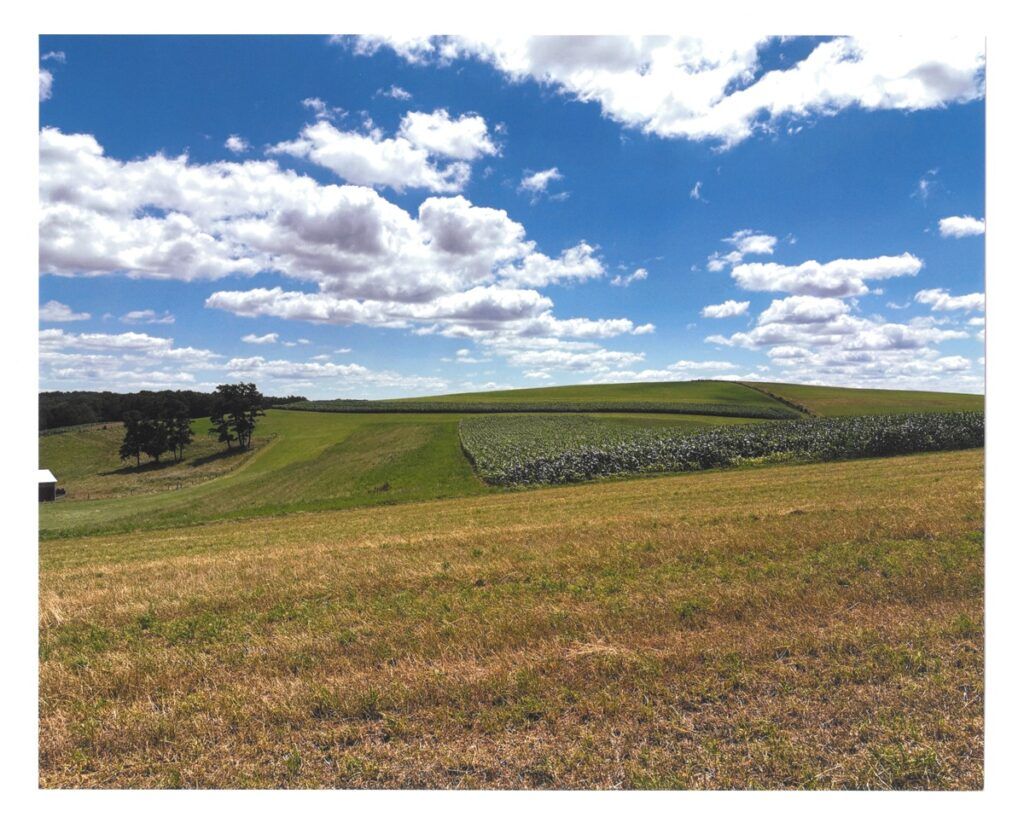 Contour strips in a field
