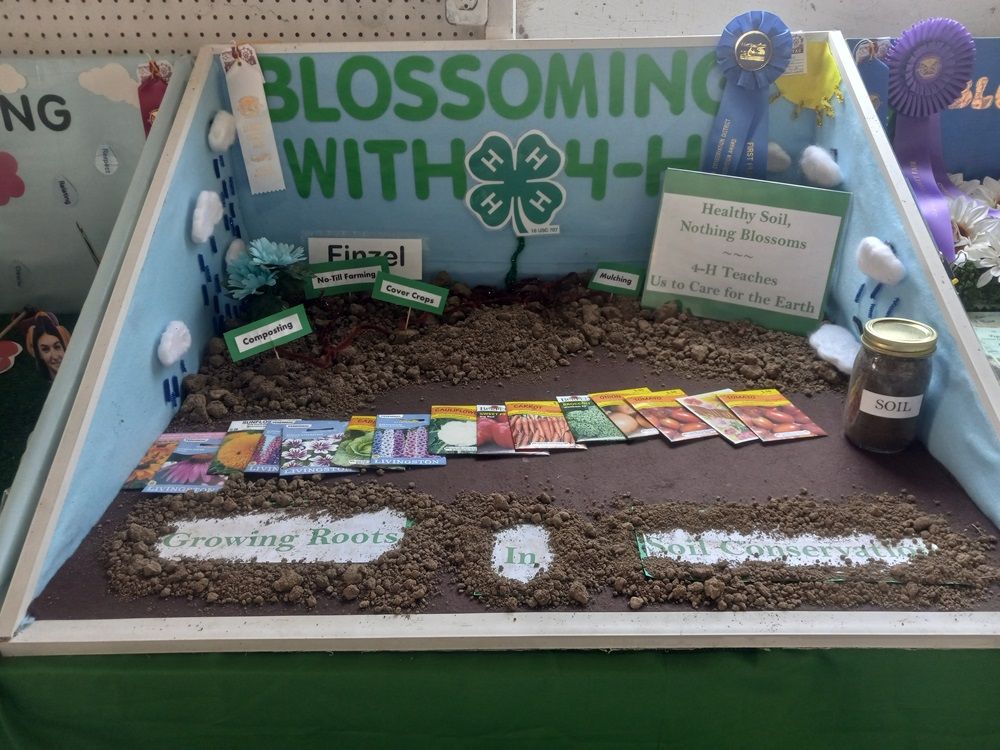 Display with dirt and vegetable seed packets strewn across it.