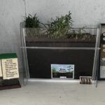 Root View, Soil Layers, and Compost displays